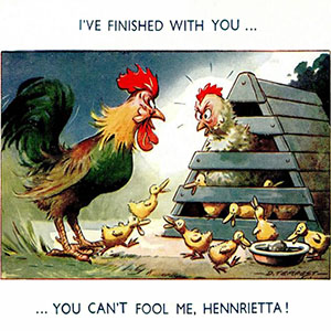Cartoon: Henne mit Kücken und Vaterschaft leugnender Hahn ~1950, Engl.
