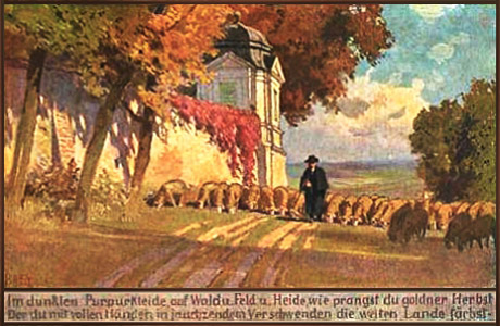 Künstlerkarte: Hirte mit Schafen unterwegs im Herbst - 1910