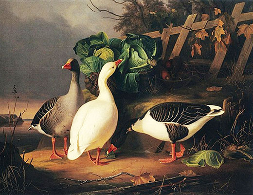 Gemälde: Gänse naschen Kohl im Morgennebel - 1854