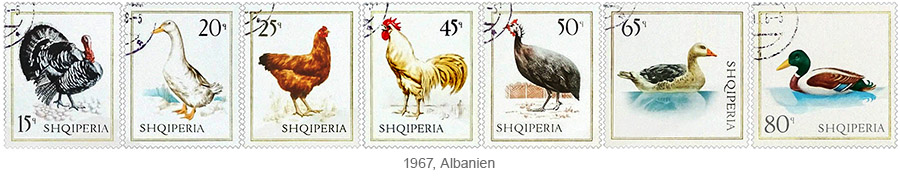 Briefmarkensatz: Nutzgeflügel (Truthahn, Gans, Huhn, Hahn, Perlhuhn, Enten) - 1967, Albanien