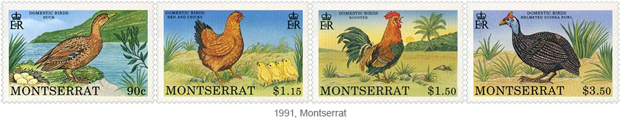 Briefmarkensatz: Nutzgeflügel (Ente, Henne, Hahn, Perlhuhn) - 1991, Montserrat