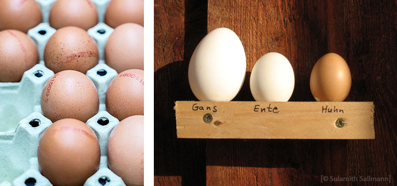Farbfotos: Hühnereier auf Palette / Eier von Gans, Ente und Huhn