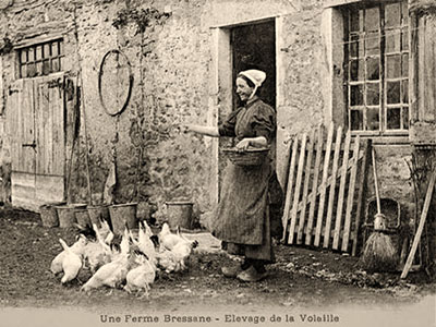sw Fotopostkarte: Bäuerin beim Hühnerfüttern ~1900, Frankreich
