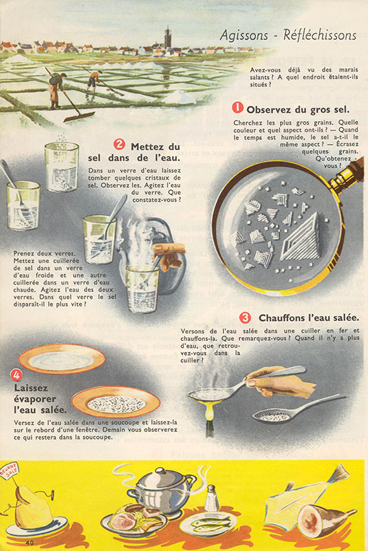 alte französische Schulbuchseite zum Thema Salz