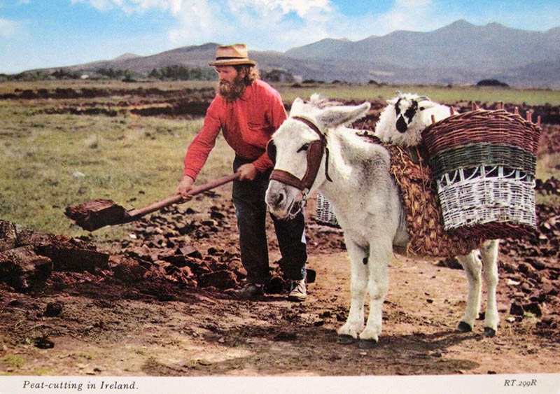 farbige Postkarte: Torfstecher schaufelt Torf; neben ihm sitzt eine Ziege auf einem Esel