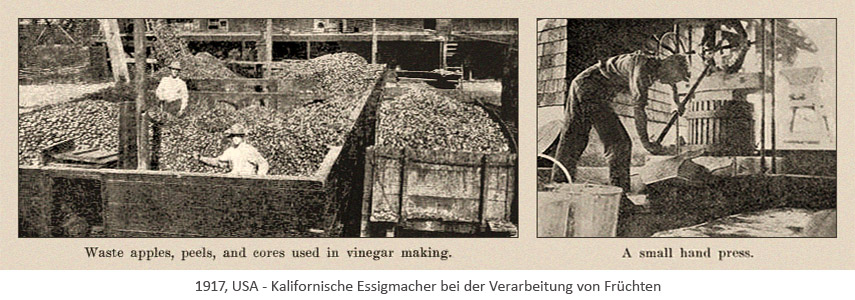 sw Zeitungsabb.: Kalifornische Essigmacher verarbeiten Früchte - 1917, USA