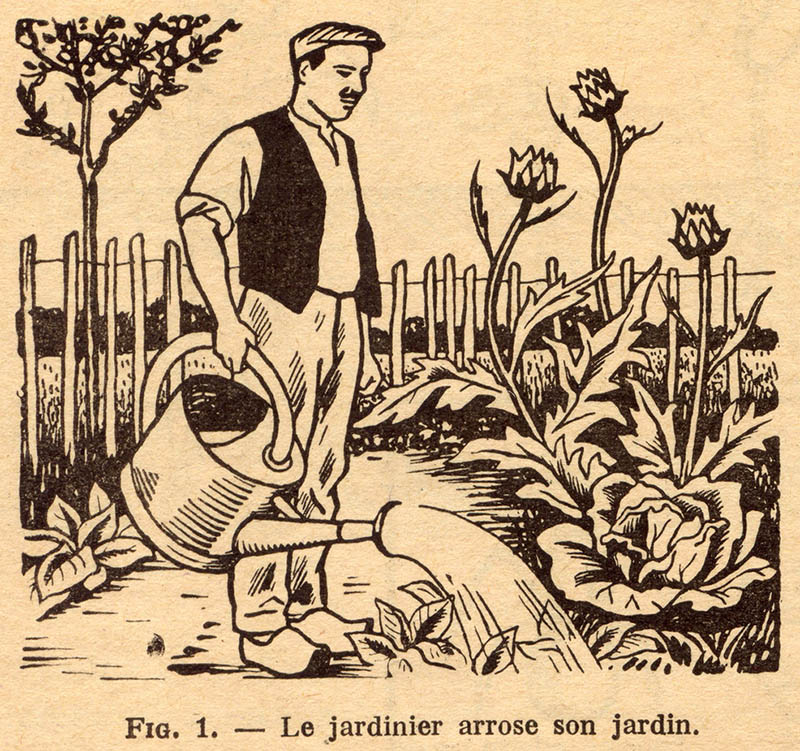 Illustration: Mann gießt die Pflanzen im Garten