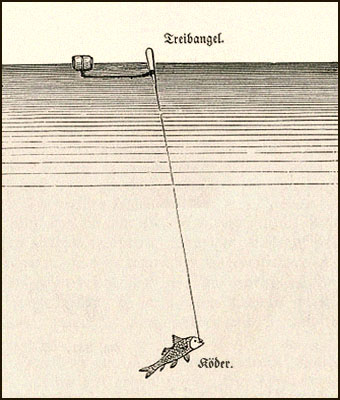 Zeichnung: Aalpuppe genannte Treibangel - 1886