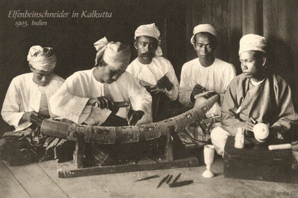 sw Foto: 5 Elfenbeinschneider in Kalkutta - 1903, IN
