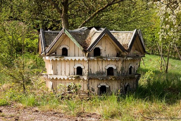 Farbfoto: altes Taubenhaus mit vielen Kammern auf Frühlingswiese