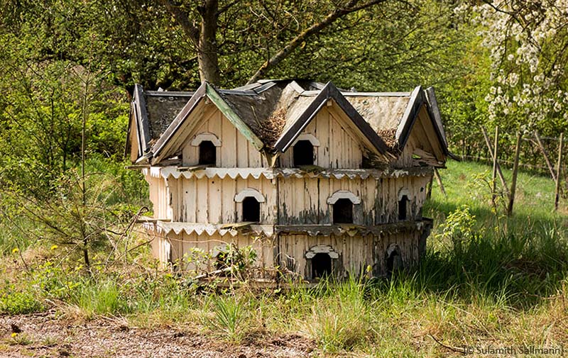 Farbfoto: altes Taubenhaus mit vielen Kammern auf Frühlingswiese