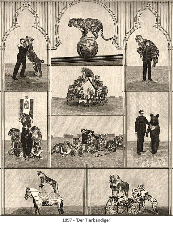 Kupferstich: 9 Szenen mit verschiedenen Rautieren - 1897