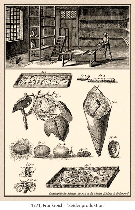 Kupferstich: Seidenzüchter & Seidenproduktion - 1771, FR