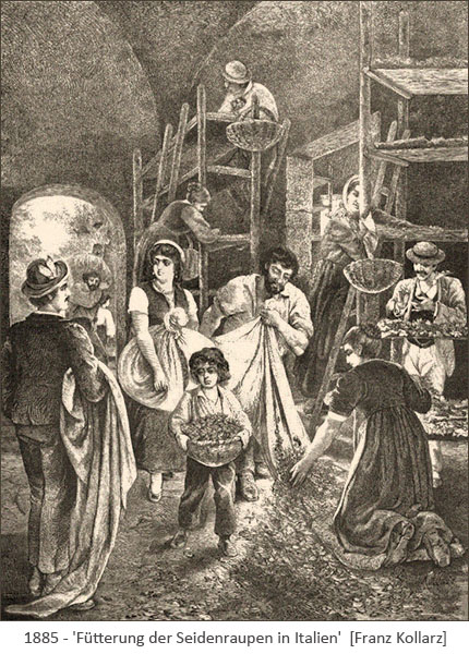 Kupferstich: Fütterung der Seidenraupen in Italien - 1885