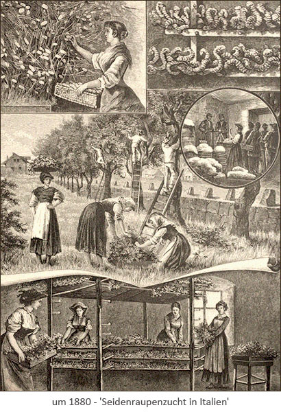 Kupferstich: Seidenzüchter in Italien ~1880