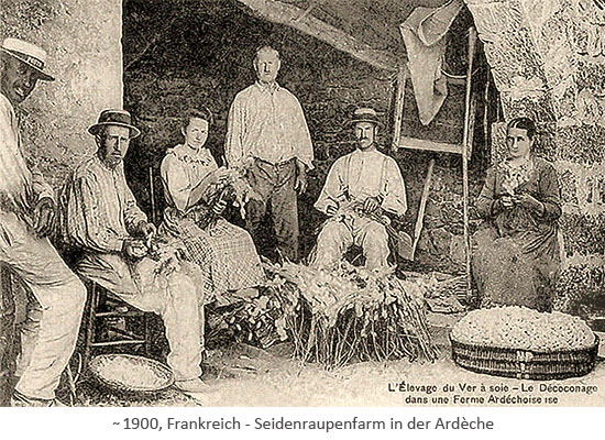 sw Fotopostkarte: Arbeiter einer Seidenraupenfarm ~1900, FR