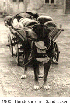 sw Foto: Hundekarre mit Sandsäcken - 1900