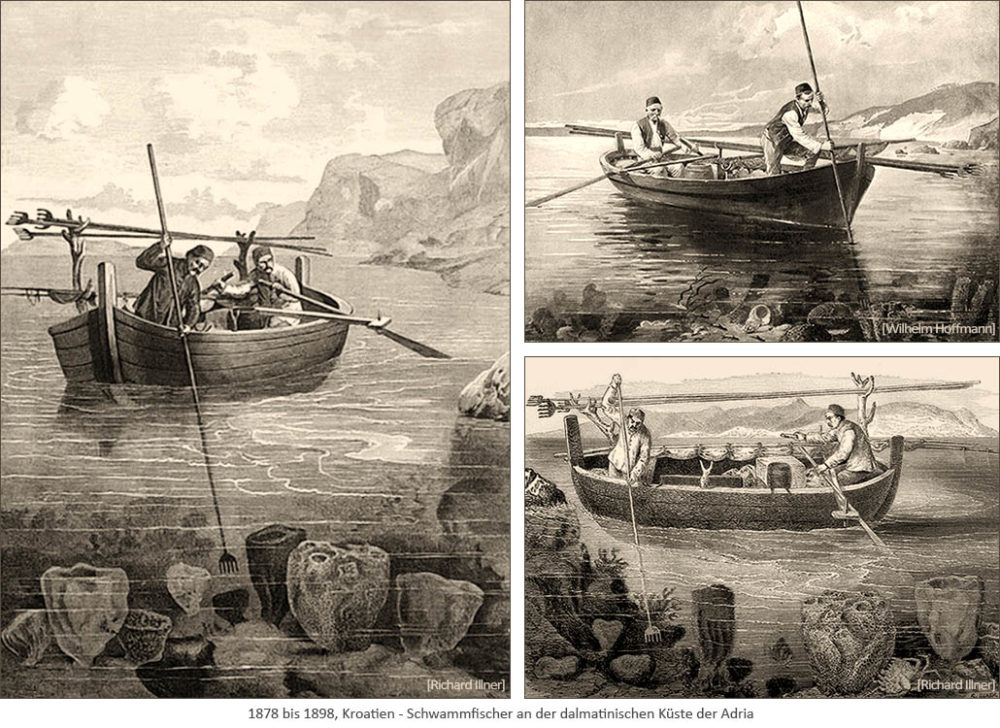 3 Holzstiche: Dalmatinische Schwammfischer ernten Schwämme mit langen Hakenspießen vom Boot aus ~ 1878-98, Kroatien