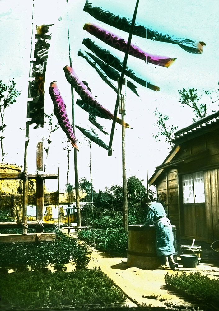 koloriertes Foto: japanische Gärtnerei