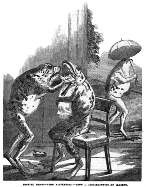 Illustration: Frosch rasiert einen Frosch