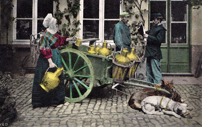 kolorierte Postkarte: Milchhändler mit Hundekarren