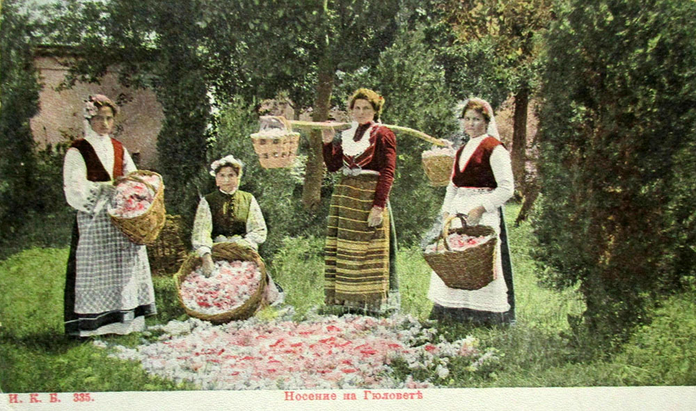 kolorierte Postkarte: Frauen in Tracht sammeln Blütenblätter
